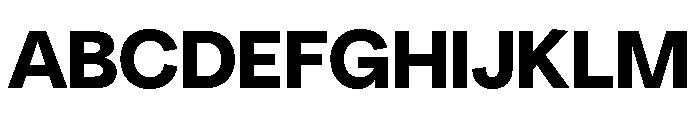 NeuSans Bold Font UPPERCASE