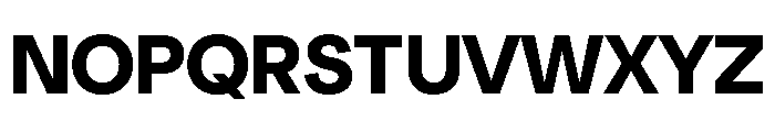 NeuSans Bold Font UPPERCASE