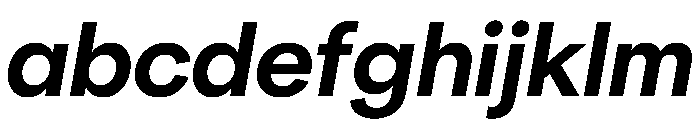 NeuSans BoldItalic Instance FONT
