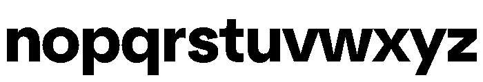 NeuSans Bold Font LOWERCASE
