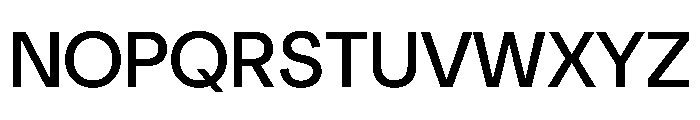 NeuSans Book Instance Font UPPERCASE