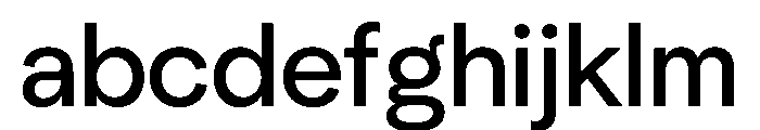NeuSans Book Instance FONT