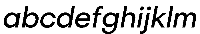 NeuSans BookItalic FONT