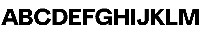 NeuSans ExtraBold Instance Font UPPERCASE