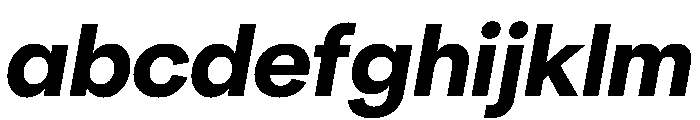 NeuSans ExtraBoldItalic Instance FONT