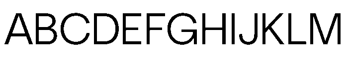NeuSans Light Instance Font UPPERCASE
