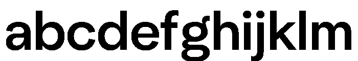 NeuSans Medium Instance FONT