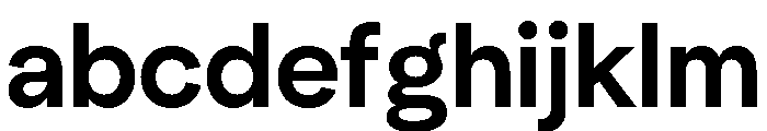 NeuSans Medium FONT