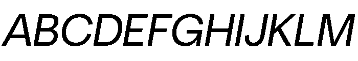 NeuSans RegularItalic Instance Font UPPERCASE