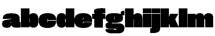 Neue Corp Black 4 FONT