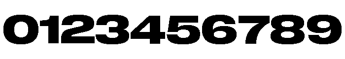 Neue Corp Bold 2 Font OTHER CHARS
