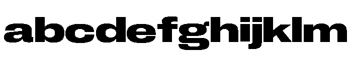 Neue Corp Bold 2 FONT