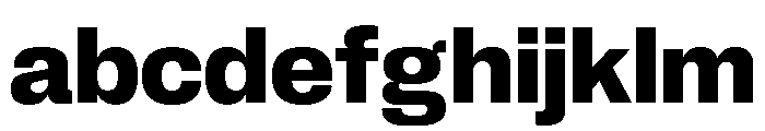 Neue Corp Bold 4 FONT