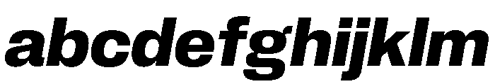 Neue Corp Bold Italic 4 FONT