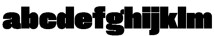 Neue Corp Compact Black FONT
