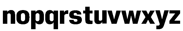 Neue Corp Compact Bold Font LOWERCASE
