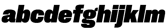 Neue Corp Compact Heavy Italic FONT
