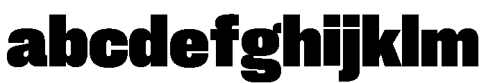 Neue Corp Compact Heavy FONT