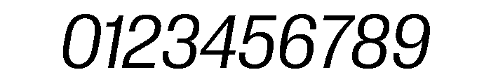 Neue Corp Compact Italic Font OTHER CHARS
