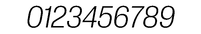 Neue Corp Compact Light Italic Font OTHER CHARS