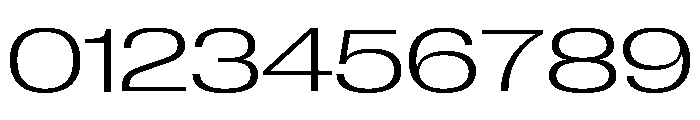 Neue Corp Extended Light Font OTHER CHARS