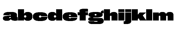 Neue Corp Heavy 2 FONT