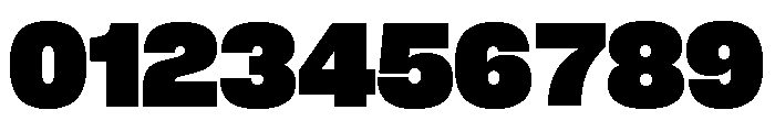 Neue Corp Heavy 4 Font OTHER CHARS