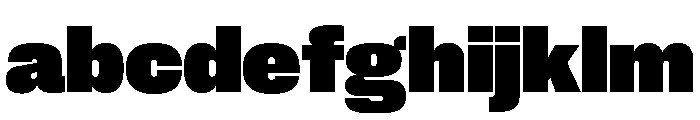 Neue Corp Heavy 4 FONT