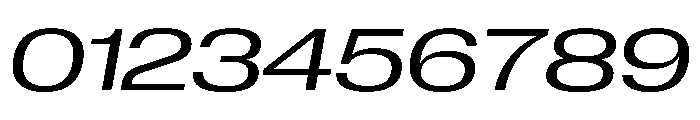 Neue Corp Italic 2 Font OTHER CHARS