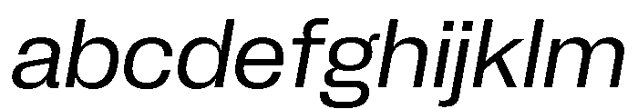 Neue Corp Italic 4 FONT