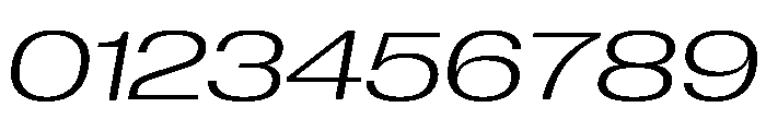 Neue Corp Light Italic 2 Font OTHER CHARS