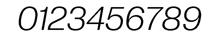 Neue Corp Normal Light Italic Font OTHER CHARS
