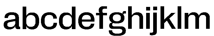 Neue Corp Normal Medium 2 FONT