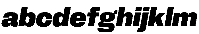 Neue Corp Normal Ultrabold Italic FONT
