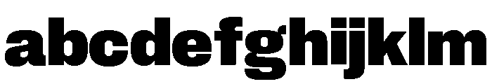 Neue Corp Normal Ultrabold FONT