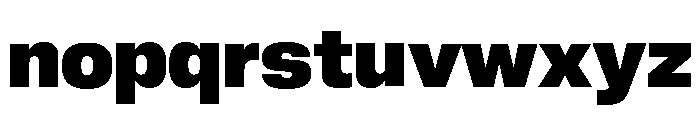 Neue Corp Normal Ultrabold Font LOWERCASE