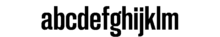 Neue Corp Tight Bold FONT