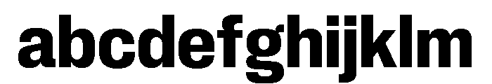 Neue Corp Variable Compact Bold FONT