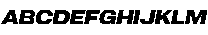 Neue Corp Variable Wide Bold Italic Font UPPERCASE