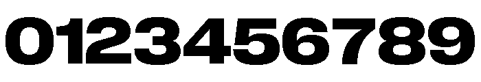 Neue Corp Variable Wide Bold Font OTHER CHARS
