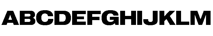 Neue Corp Variable Wide Bold Font UPPERCASE
