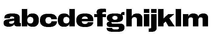 Neue Corp Variable Wide Bold FONT