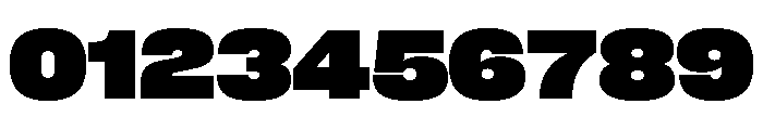 Neue Corp Variable Wide Heavy Font OTHER CHARS