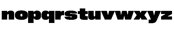 Neue Corp Variable Wide Heavy Font LOWERCASE
