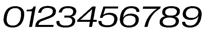 Neue Corp Variable Wide Italic Font OTHER CHARS