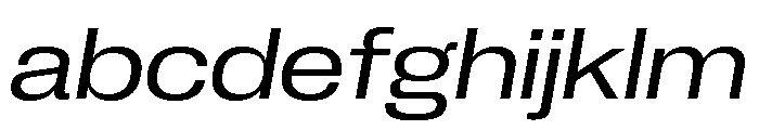 Neue Corp Variable Wide Italic FONT