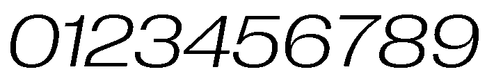 Neue Corp Variable Wide Light Italic Font OTHER CHARS