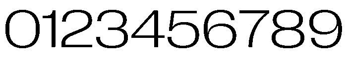 Neue Corp Variable Wide Light Font OTHER CHARS