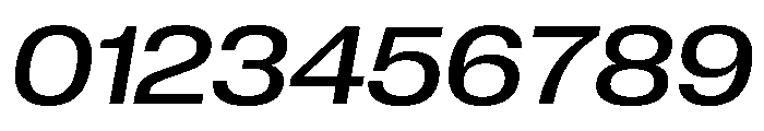Neue Corp Variable Wide Medium Italic Font OTHER CHARS