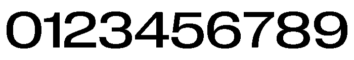 Neue Corp Variable Wide Medium Font OTHER CHARS